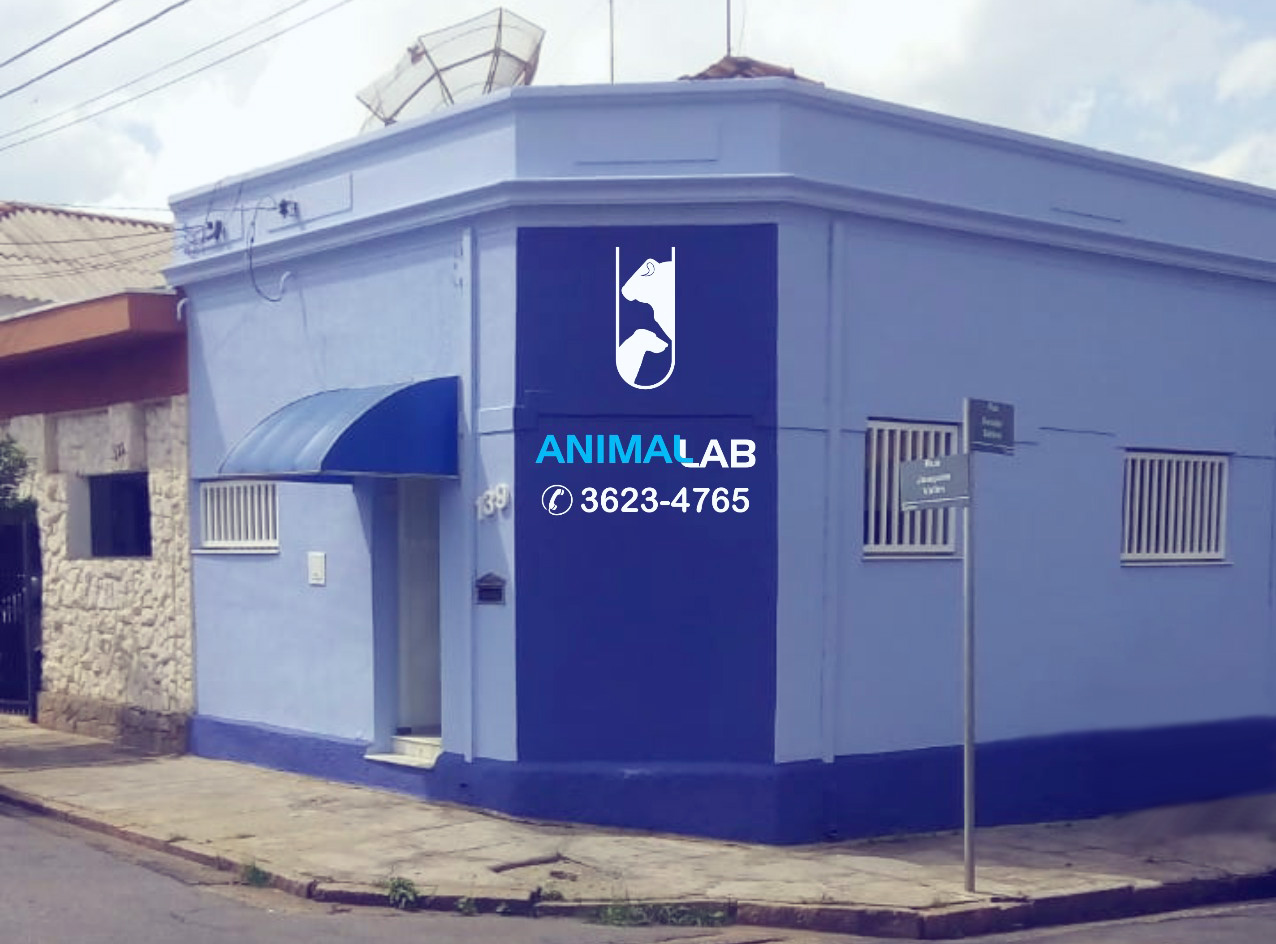 Home - Animal Lab